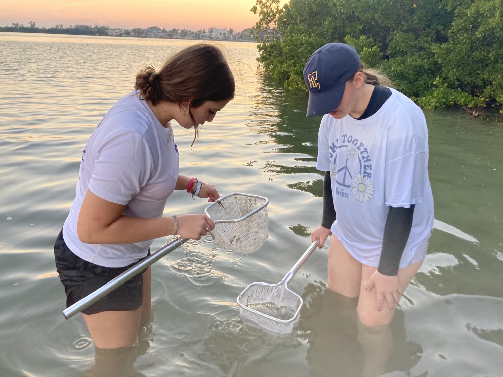SAS students participate in field sampling techniques in the bay.