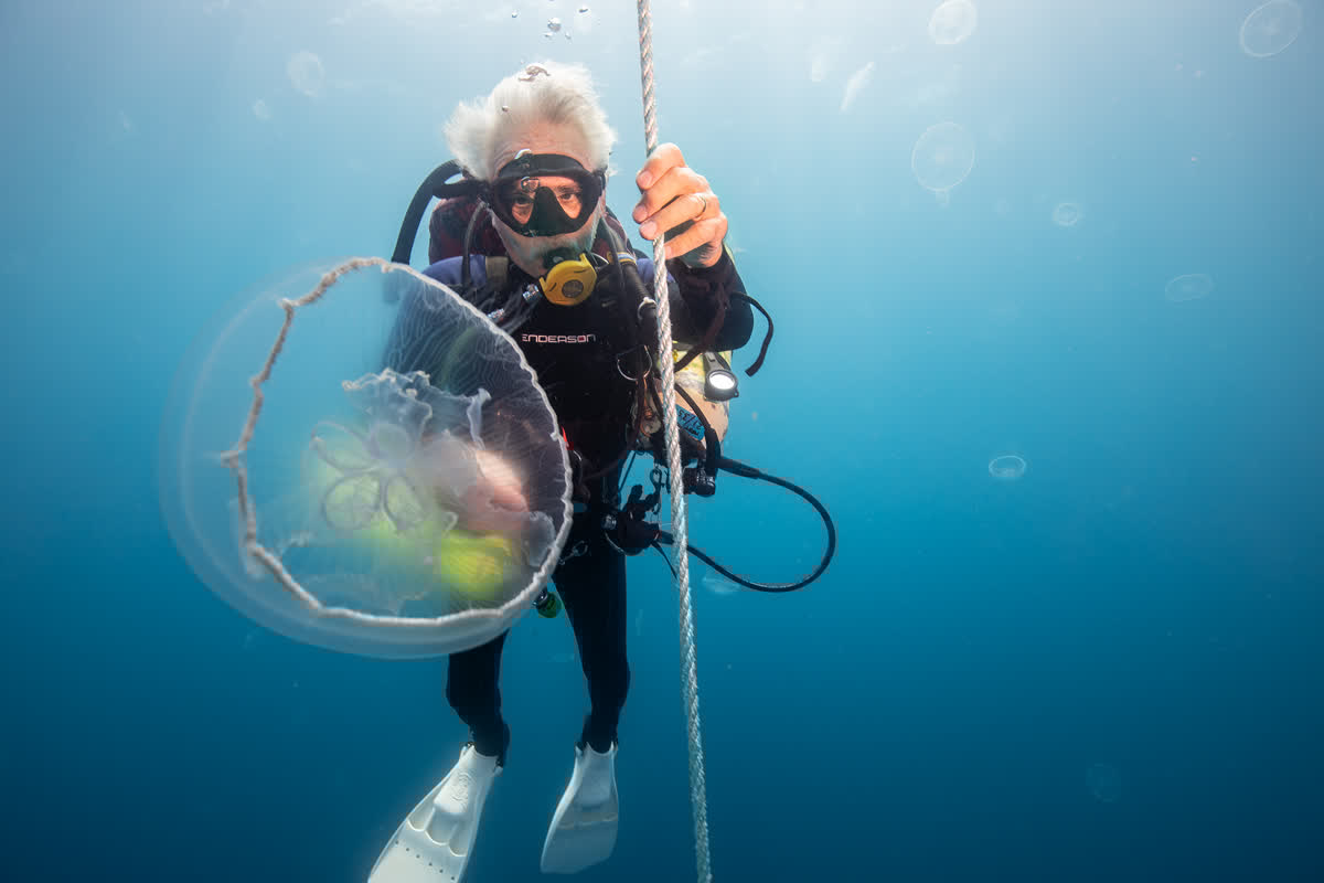 Mote Senior Scientist Jim Culter spots a sea jelly on the way to a deep research site called a blue hole. Culter is one of Mote's technical divers who collect valuable data at depth.