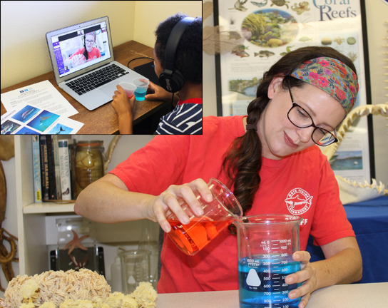 Boy Scouts Virtual Merit Badge Program, Example Of Beaker Experiment
